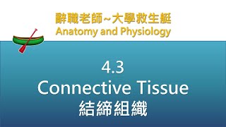 🛶大學救生艇🛶 4.3 Connective Tissue 結締組織