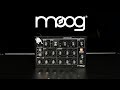 Moog minitaur analog bass synthesizer  gear4music demo