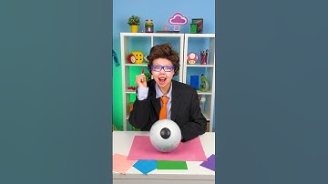 What’s Inside the Eye?👀🍊 Let’s Discover!