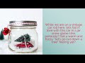 Perdido sand realty   diy snow globes