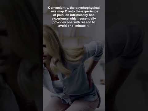 A Brief Intro