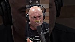 #chotaalivlogs