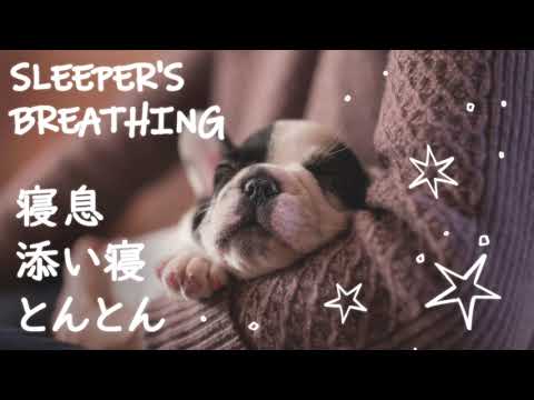 【音フェチ】💤添い寝してとんとん＆寝息／SLEEPER'S BREATHING💤【ASMR】