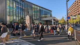 【高画質FHDお散歩ライブカメラ】原宿　Harajyuku　Walking【live camera】