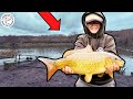 DOES THIS SMALL DAM HOLD A 20LB CARP? A NEW ADVENTURE PART 5 | WESTWOOD DAM | BAGUPTV