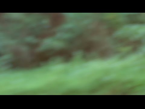 恋爱症候群