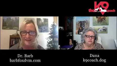 Dana Brigman & Dr. Barb Fox Talk K9 Wellness
