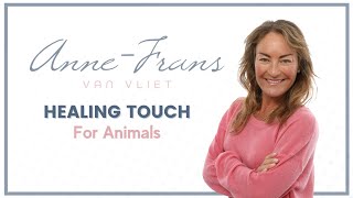 Healing Touch for Animals