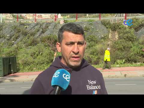 Brigadas Verdes acondiciona Loma Colmenar para la Musal-la