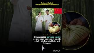 China Scientists Create Bamboo-Based Plastic That Fully Biodegrades in 50 Days