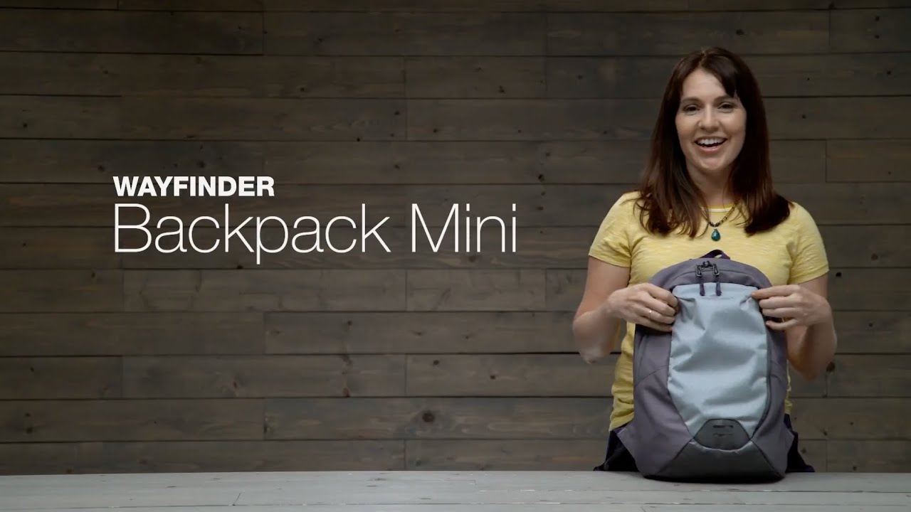 Eagle Creek Travel Bug Mini Pack