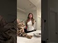 I’ll get it right next time jasper 🥲 #cat #grwm #funny #cats #4urpage #fypシ Mp3 Song