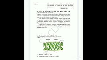 class 9 science classification of plants exercise solution