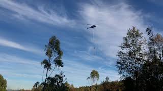 Podas con helicóptero Valdivia 2/2