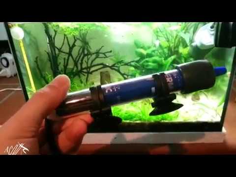 Video: Come Installare Un Riscaldatore In Un Acquario