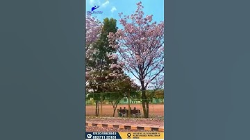 EXCEL ENGINEERING COLLEGE TAMILNADU ERODE EXCEL COLLEGE CAMPUS VIEW PLACEMENT FEE DETAIL REVIEW