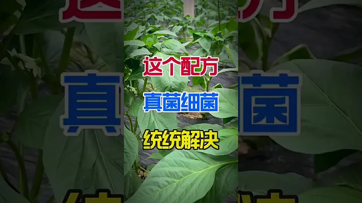 蔬菜種植病害防治 #種植 #gardening - 天天要聞