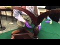Duncan Phyfe Trick Leg Table Duncan Phyfe Trick Leg Table
