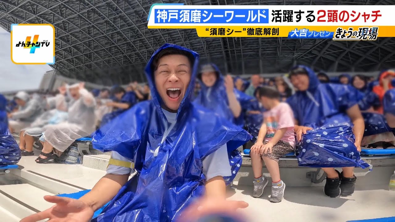 夏休みの注目スポット『神戸須磨シーワールド』　「シャチ」のパフォーマンスやスマスイ時代の名物魚「ピラルク」など..."須磨っ子"大吉アナが徹底解剖（2024年7月12日）