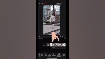 Day 2: How To Create This Easy Black and White Video Transition Using CapCut #videotransition