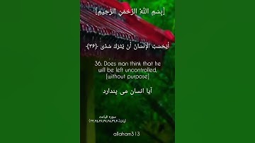 بسم الله الرحمن الرحیم #الله #بهروز_رضوی #خدا #مسعود_ریاعی #سورة_ق #سورة_هود #سورة_البقرة