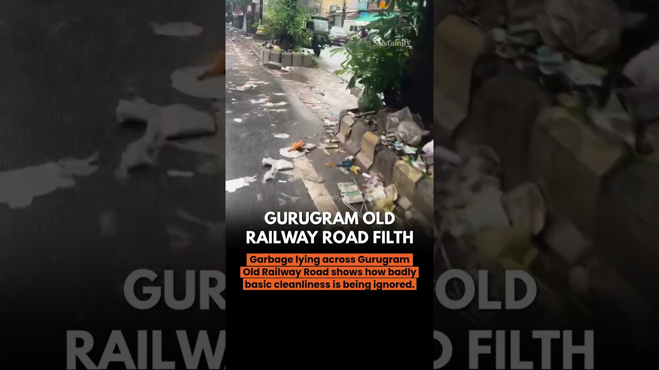 Gurugram deserves better than streets filled with garbage. 🚯 #sustainify #cleanindia #news