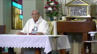 St. Luke Catholic Church Live Stream
