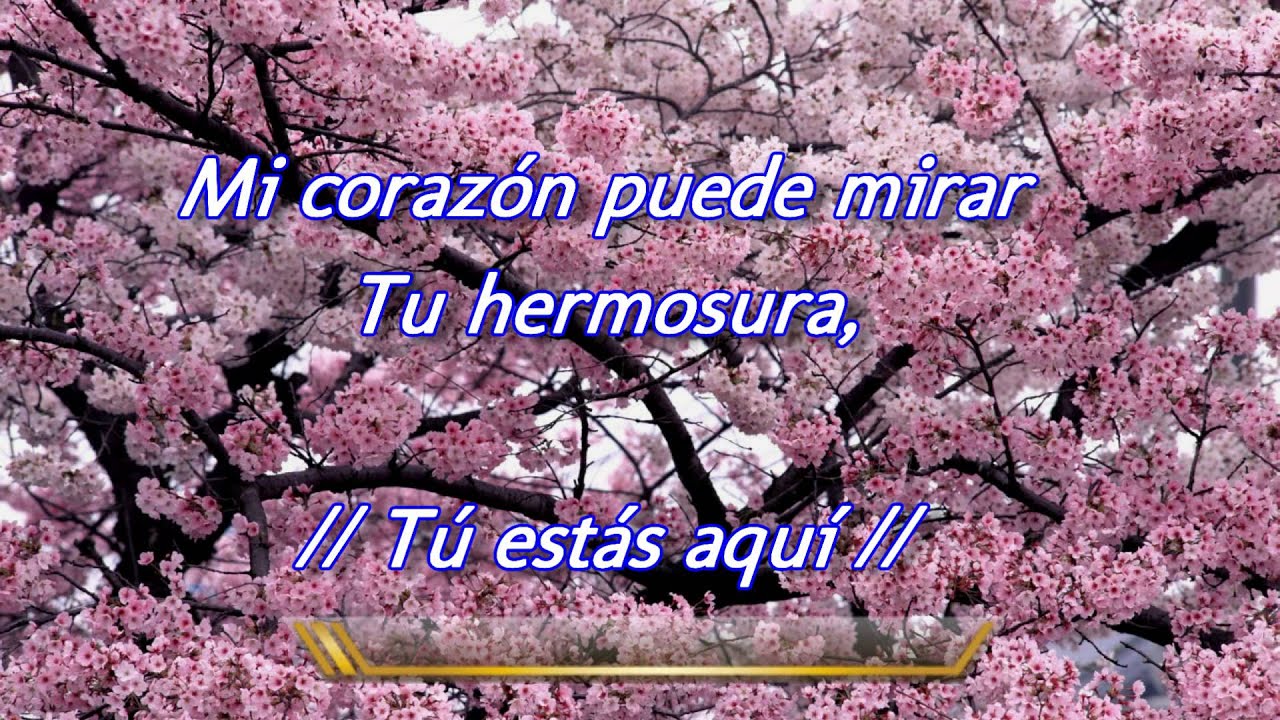 TÚ ESTÁS AQUÍ - YouTube