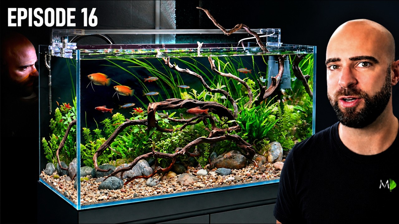Building An Asian Inspired Community Ecosystem Aquarium |EP16| Warehouse To Fish Studio
