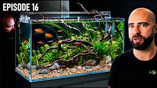 Download lagu Building An Asian Inspired Community Ecosystem Aquarium |EP16| Warehouse To Fish Studio
