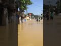 නවගමුව| Nawagamuwa #flood #srilanka #viral #foryou #support #fypシ #cat #jiyetohjiyekaise2 #fyp #vlog