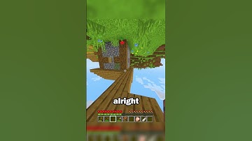 Minecraft, But the Gravity is REVERSED... #minecraft