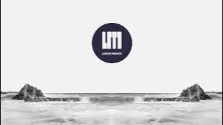 Alpha Rhythm, Humanature & Leo Wood - Keeping on [Villem Remix]