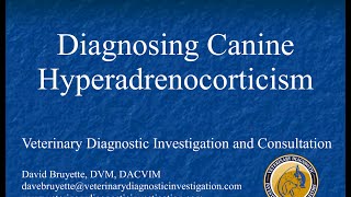 Diagnosing Canine Hyperadrenocorticism