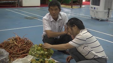 SÂM NGỌC LINH VÀ HÀNG DƯỢC LIỆU CÓ MẶT TẠI PHIÊN CHỢ THÁNG 10