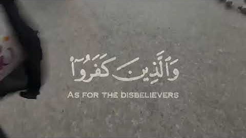 (( الله ولي الذين آمنوا يخرجهم من الظلمات إلى النور)) قران كريم🍂