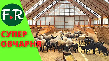 Такого кормления овец я не видел! Содержание овец с ягнятами. Устройство овечьей фермы. ПХ Пионер