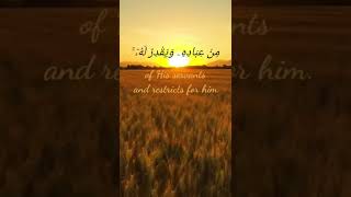 Surah-al-Ankabut # Ayat-62 # Al-Qur'an # Indeed Allah is, of all things, Knowing.