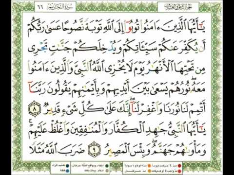 066 سورة التحريم ناصر القطامي Flv