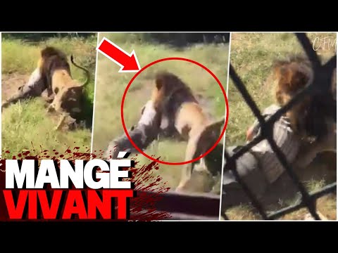 Vidéo: Le premier mangeur d'hommes a-t-il été abattu par Corbett ?