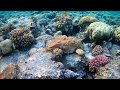 Dahab , South Sinai - دهب جنوب سيناء