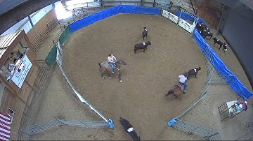 Big Sky Ranch Sorting Saddle Series #5 - #9 - Round #1 - Ride #3