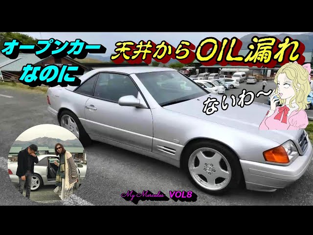 メルセデスベンツ SL R129 AMGロゴキッキングプレート 左右セット ｜その他