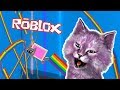 ЧТО ВЫБРАТЬ? РОБЛОКС WOULD YOU RATHER ROBLOX СПИННЕР ВМЕСТО КОШКИ ЛАНЫ