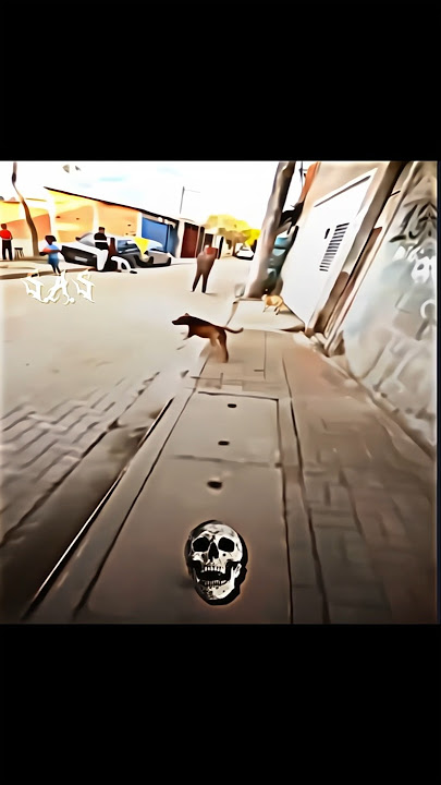 🎼:𝑺𝑷𝑶𝑶𝑲𝒀 (𝑺𝒖𝒑𝒆𝒓 𝑺𝒍𝒐𝒘𝒆𝒅) || #shorts #trollface