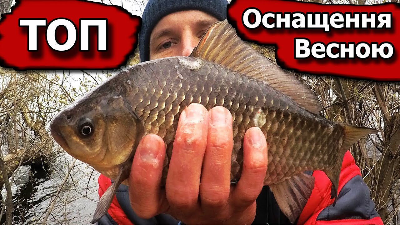 Риболовля на Бічний кивок весною, великий карась в корчах просто розриває