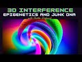 3d interference epigenetics and junk dna with sherri divband