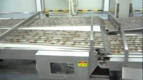 AUTOMATIC ONLINE TRAY LOADING SYSTEM -APEX MACHINERY