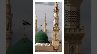 Jo Allah ki nahi sunta uh inu ko dolot kyou #sageersahilm1 #bloxfruit #shortviral #allah