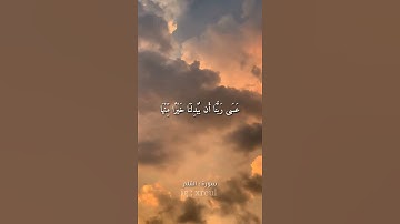 Quran Kareem story 🌸WhatsApp  أجمل قرائه قرآن كريم حالات واتس 🍃 《 سوره القلم 》